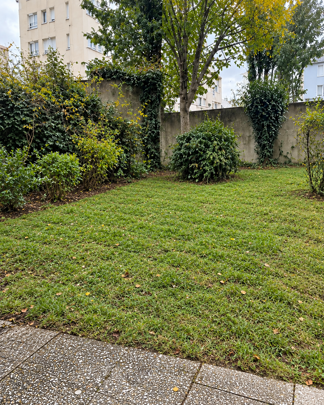 Cour jardin après entretien