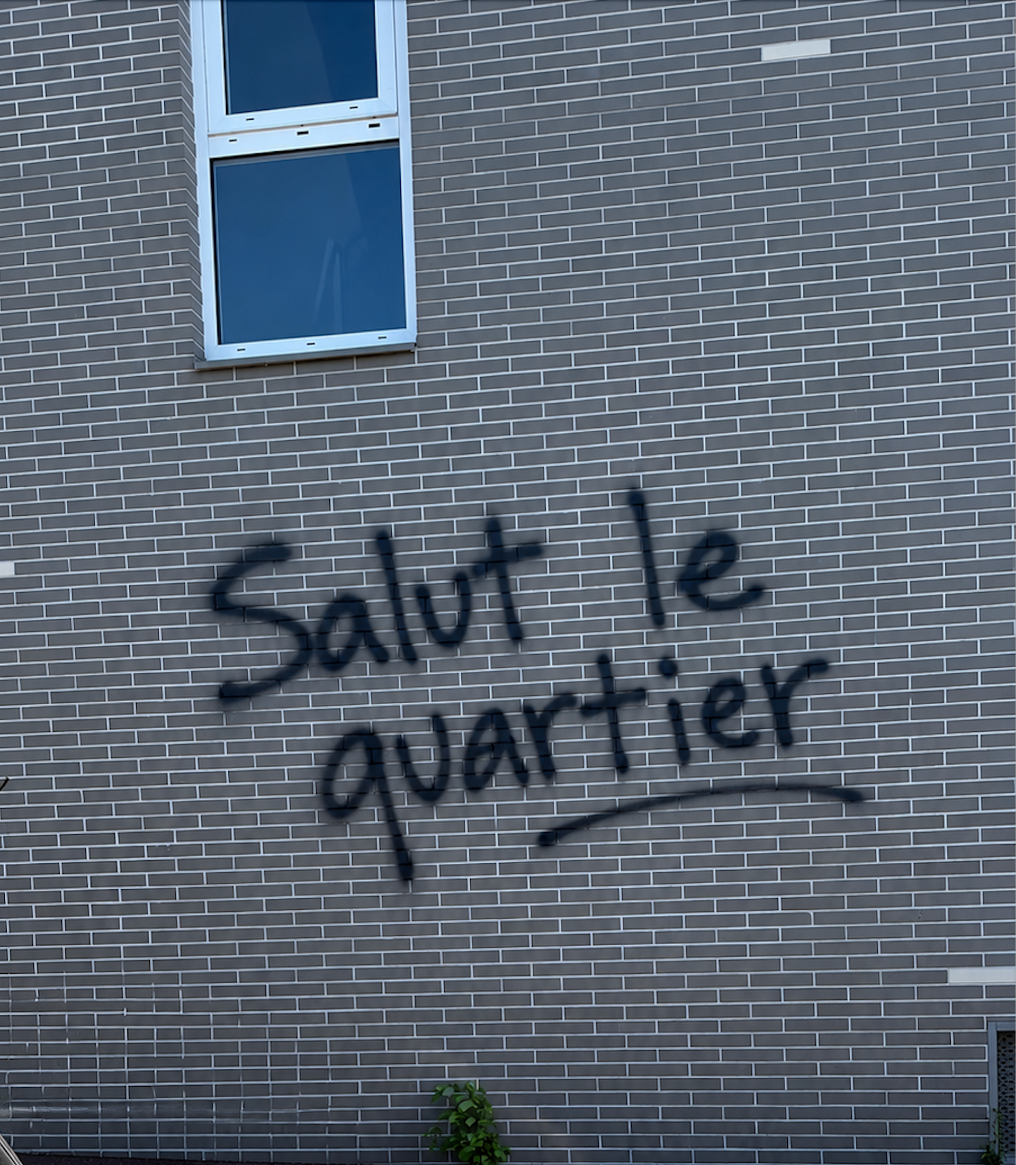 Façade avant nettoyage