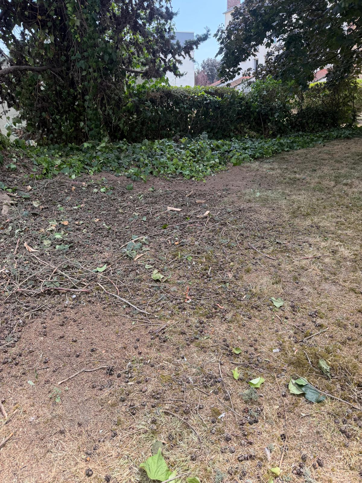 Terrain nettoyé après intervention