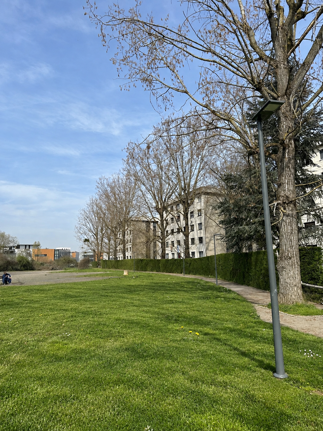 Pelouse après entretien